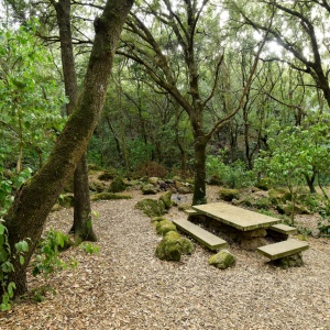 Palmas Arborea. Area picnic nella foresta di Sa Dispensa