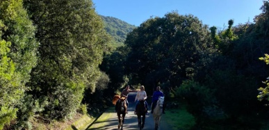 Escursione a cavallo