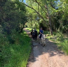 Escursione a cavallo nel Monte Arci