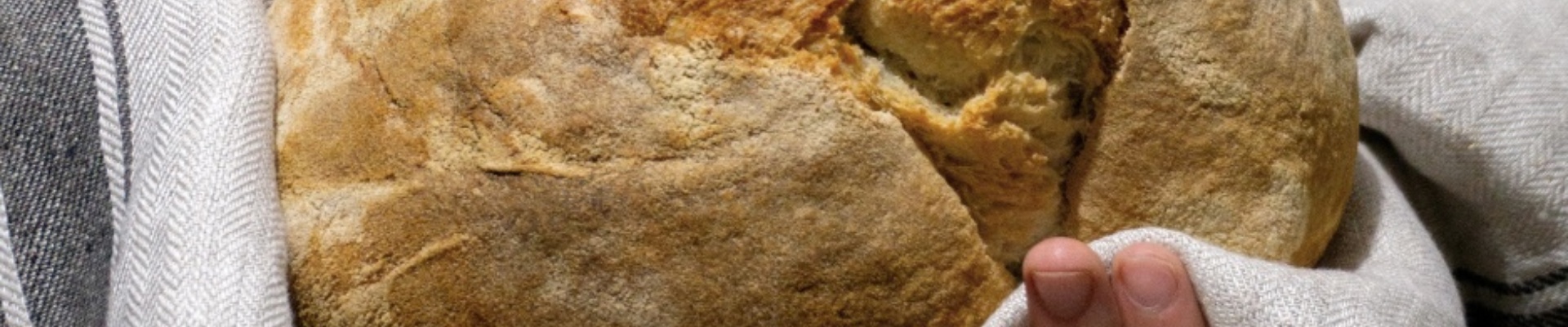 Pintau Su Pani Fattu in Domu