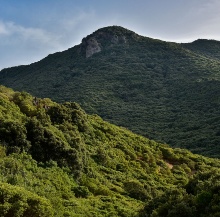 Palmas Arborea, vallata di Sa Dispensa