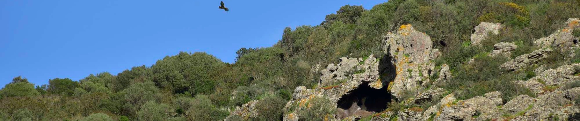 Monte Arci