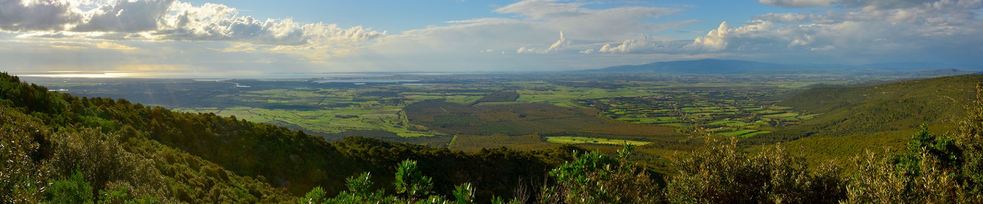 Palmas Arborea. Veduta del territorio