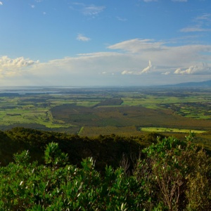 Palmas Arborea. Veduta del territorio