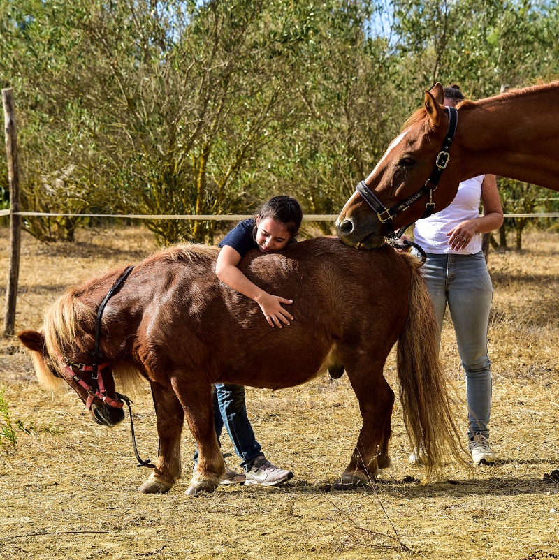 Siamaggiore. Equitazione olistica