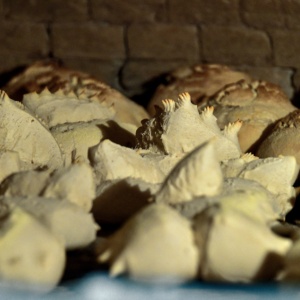 Villaurbana. Cottura del pane nel forno a legna