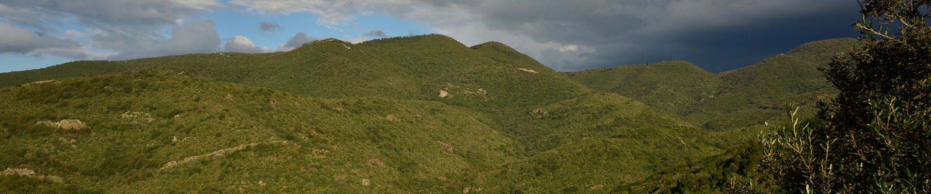 Veduta del Monte Arci